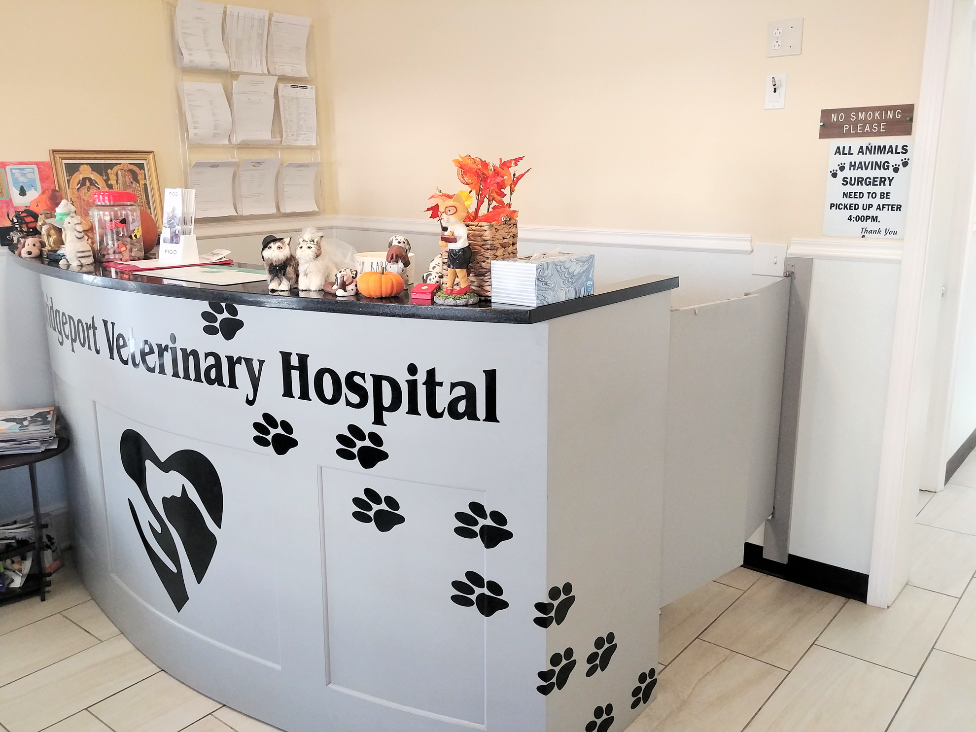 Bridgeport Vet Hospital: CT Animal Health Services, Vet Clinic, Pet Hospital in Connecticut, Veterinary Hospital in Bridgeport, Connecticut. Fairfield County Vet Hospital,  Fairfield County Veterinary Clinic.  Fairfield County Vet,  Fairfield County Vet Hospital